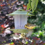 Eco Beacon Hanging Bird Feeder - The Irish Gardener Store Eco Beacon Hanging Bird Feeder, green weather-resistant finish, transparent seed container filled with mixed birdseed, wide overhanging roof for rain protection, circular base with multiple feeding ports, sturdy hanging hook at the top, eco-friendly and functional design