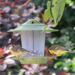 Eco Beacon Hanging Bird Feeder - The Irish Gardener Store