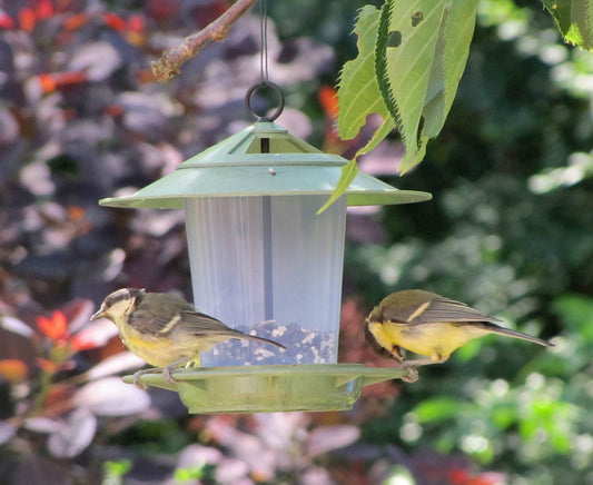 Eco Beacon Hanging Bird Feeder - The Irish Gardener Store