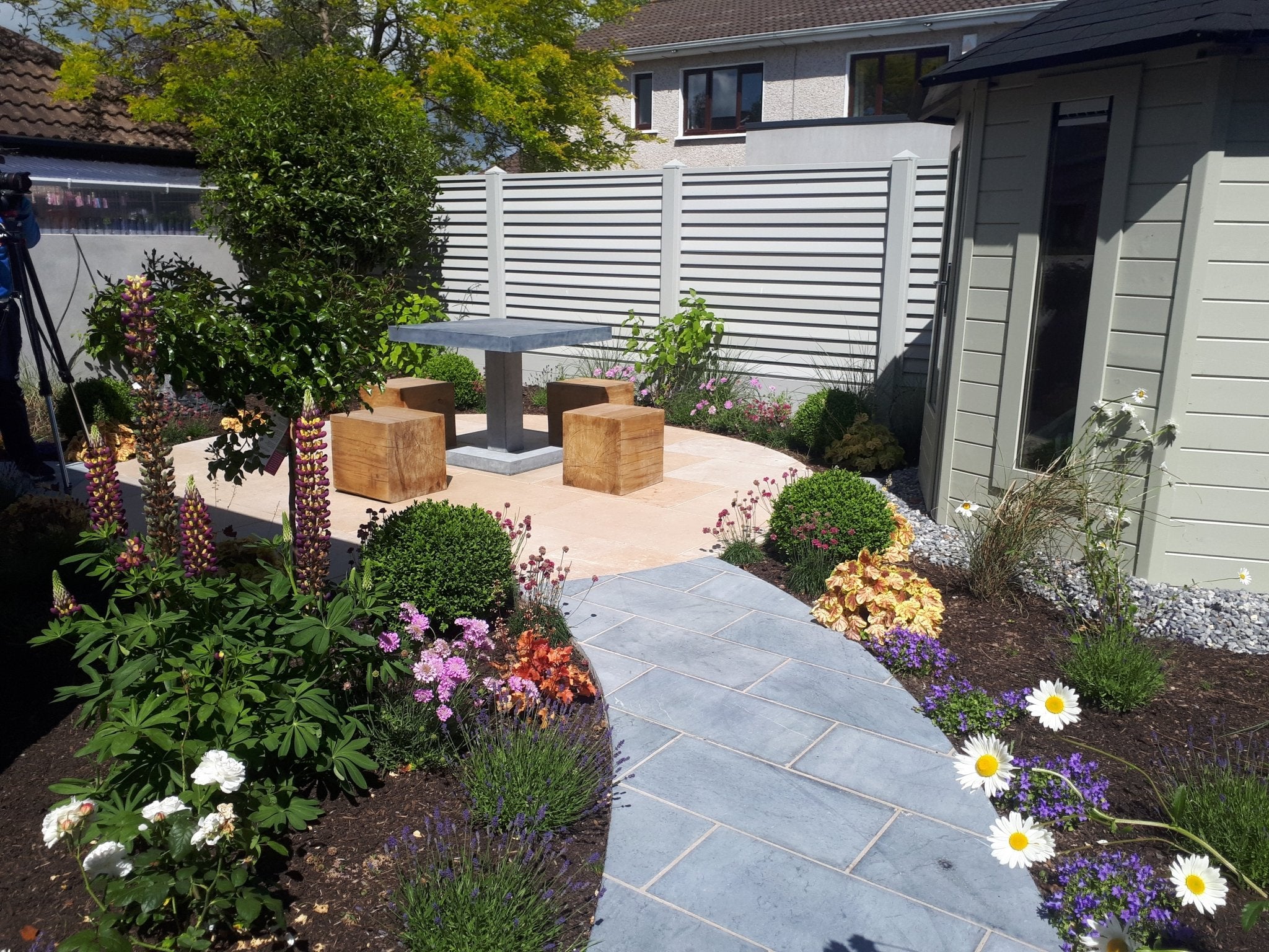 Beautifully designed modern garden featuring a curved stone pathway leading to a stylish patio area with a concrete table and wooden seating, surrounded by lush planting including lupins, daisies, lavender, and ornamental shrubs.