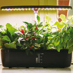 Hydroponic Garden - The Irish Gardener Store