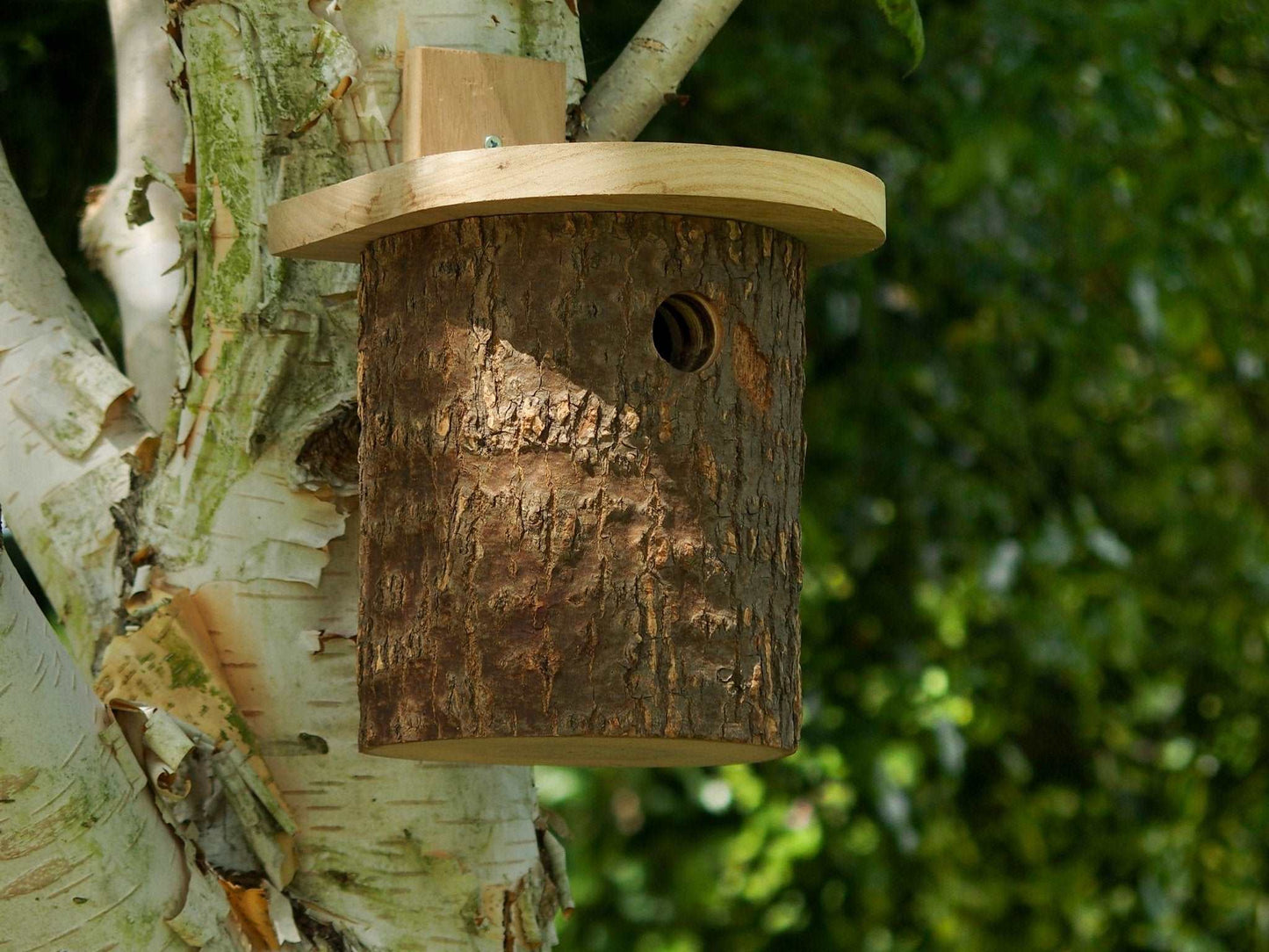 Natural Log Bird Nester (Green) - The Irish Gardener Store