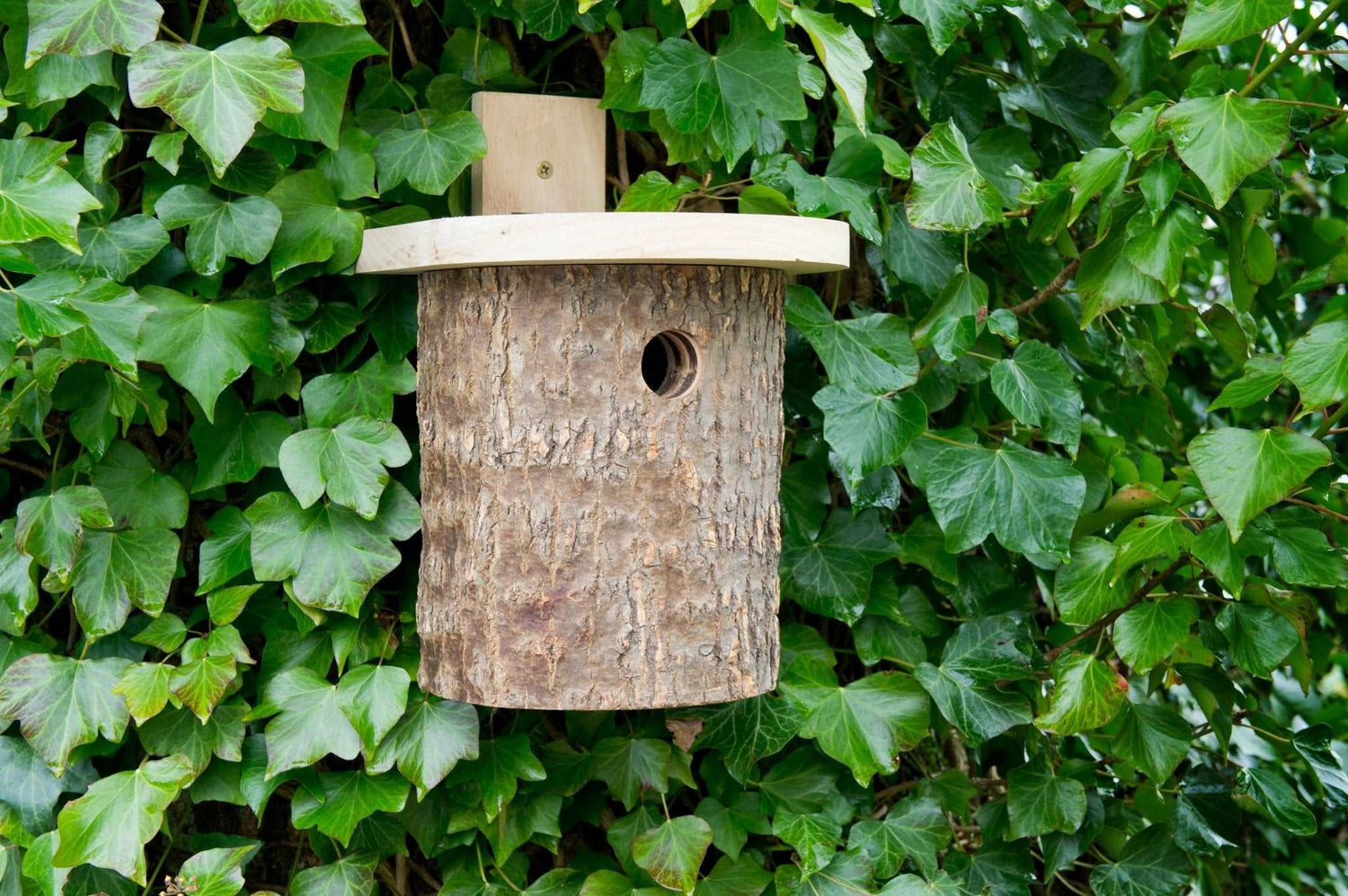 Natural Log Bird Nester (Green) - The Irish Gardener Store