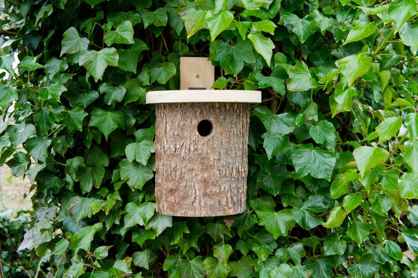 Natural Log Bird Nester (Green) - The Irish Gardener Store