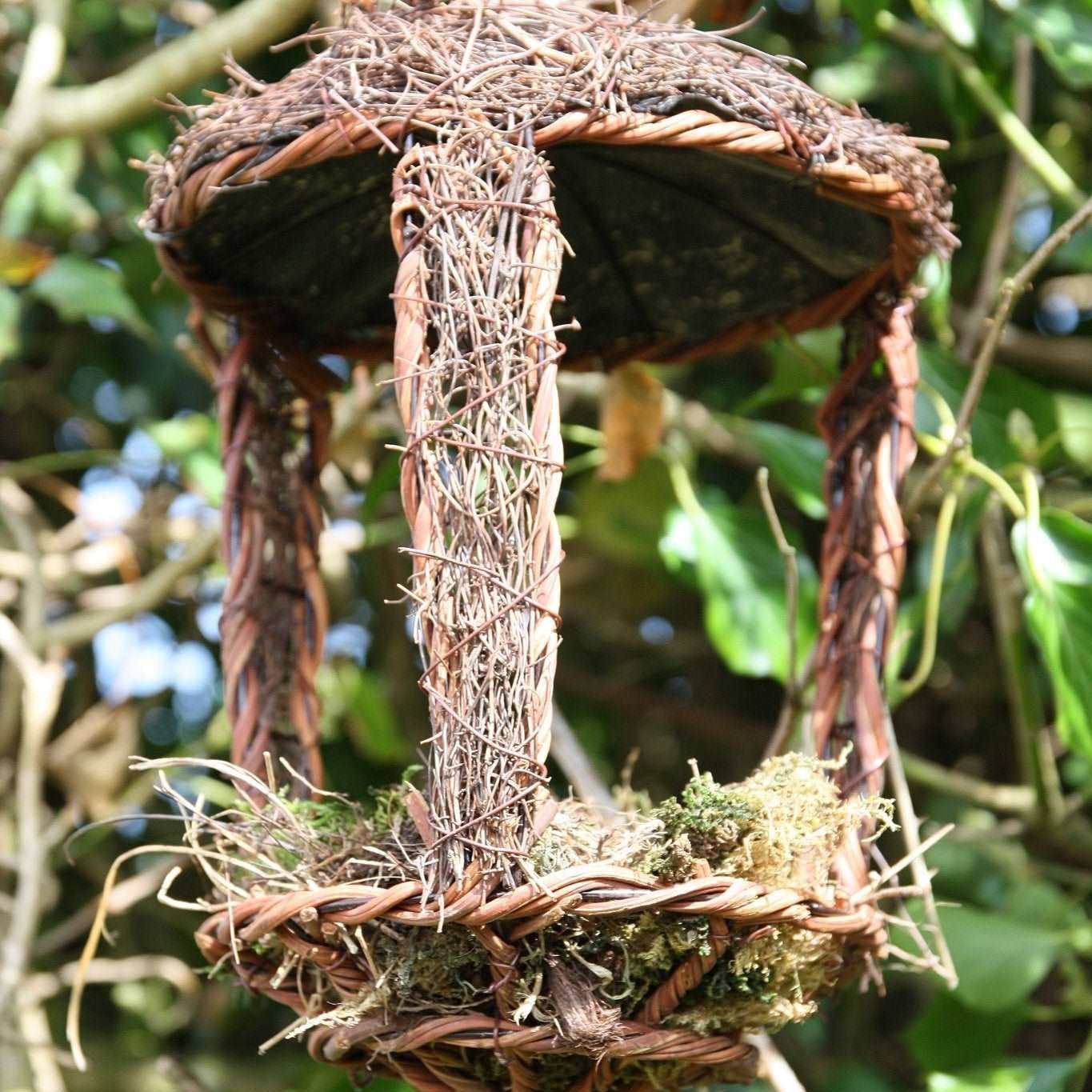 Open Nest Buddy - The Irish Gardener Store Open Nest Buddy, rustic woven design, crafted from natural twigs and moss, open-front structure, hanging from a tree branch, surrounded by green foliage, eco-friendly bird shelter, suitable for robins and other open-nesting birds, decorative and functional garden feature