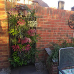 Brick patio wall adorned with a PlantBox Living Wall System filled with vibrant plants and flowers, adding a touch of greenery to a compact outdoor space, Plant Box Living Wall System - The Irish Gardener Store