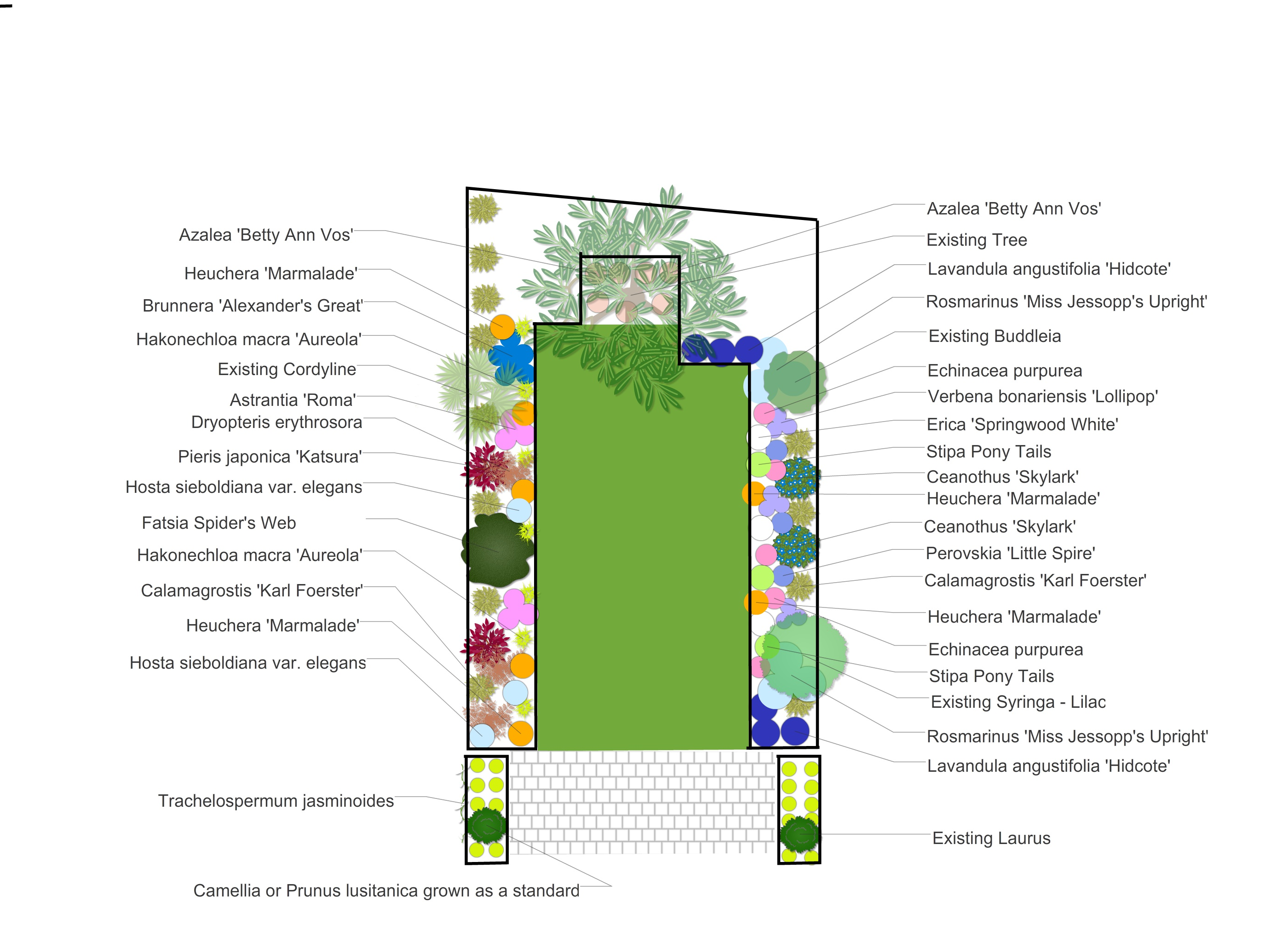 Professional planting plan by peter dowdall, with plant names on a white background. It shows tthat this planting plan makes it like planting by numbers