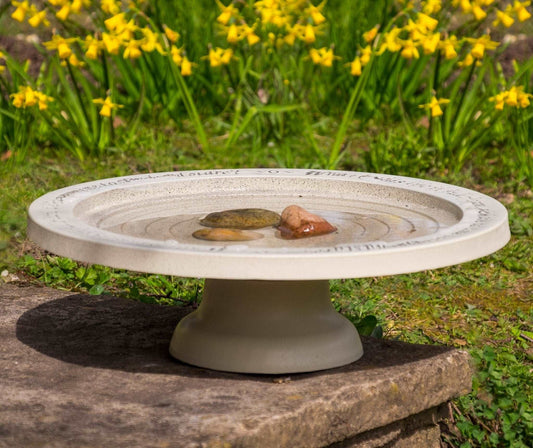 Shenstone Theatre Bird Bath and Drinker - The Irish Gardener Store