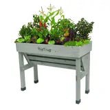 Small Wall Hugger - The Irish Gardener Store