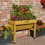 Small Wall Hugger - The Irish Gardener Store