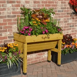 Small Wall Hugger - The Irish Gardener Store