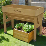 Small Wall Hugger - The Irish Gardener Store