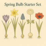 Spring Bulb Starter Set - The Irish Gardener Store