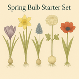 Spring Bulb Starter Set - The Irish Gardener Store