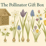 The Pollinator Gift Box - The Irish Gardener Store