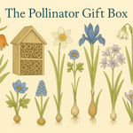 The Pollinator Gift Box - The Irish Gardener Store