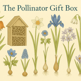 The Pollinator Gift Box - The Irish Gardener Store