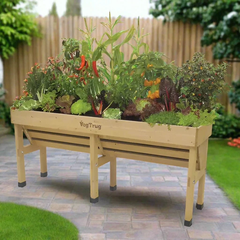 Image of the VegTrug Medium Wall Hugger in a garden situation, available in Natural and Grey Wash finishes, showcasing its raised, accessible design ideal for comfortable gardening.