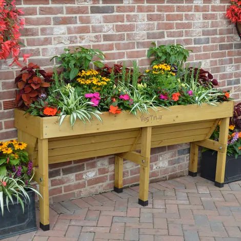 Image of the VegTrug Medium Wall Hugger installed against a wall, available in Natural and Grey Wash finishes, showcasing its raised, accessible design ideal for comfortable gardening.