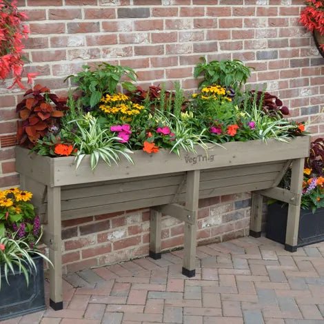 Image of the VegTrug Medium Wall Hugger installed against a wall, available in Natural and Grey Wash finishes, showcasing its raised, accessible design ideal for comfortable gardening.