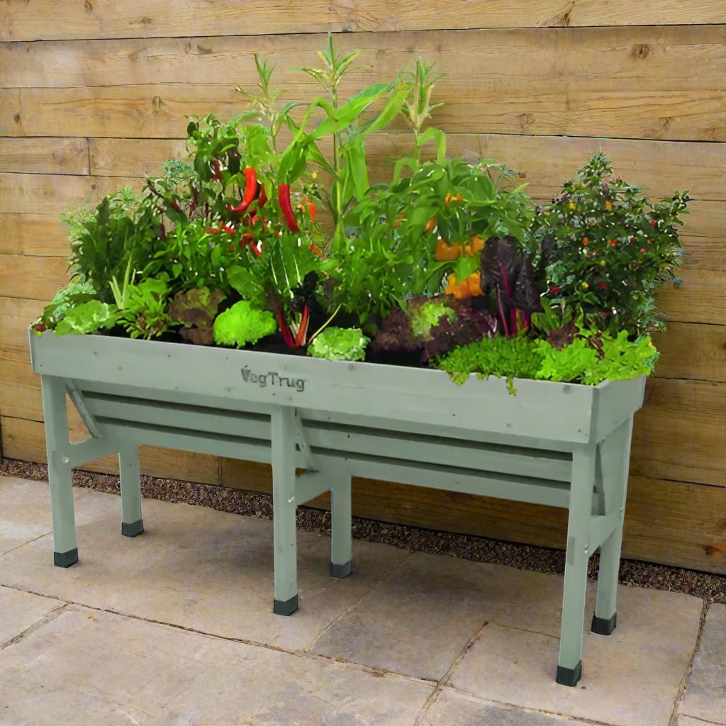 Image of the VegTrug Medium Wall Hugger installed against a wall, growing fresh vegetables, available in Natural and Grey Wash finishes, showcasing its raised, accessible design ideal for comfortable gardening.