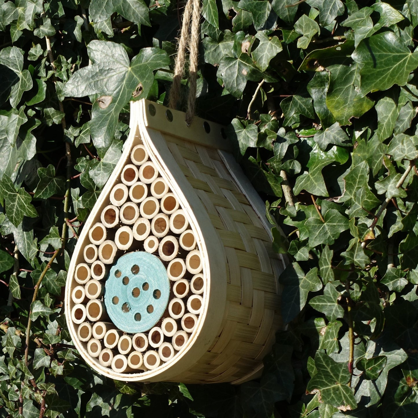 Dewdrop-shaped bee and bug hotel, made from natural wood, featuring bamboo tubes and wooden compartments, designed for solitary bees and beneficial insects, mounted on a garden wall, surrounded by greenery, eco-friendly insect habitat, rustic garden decoration