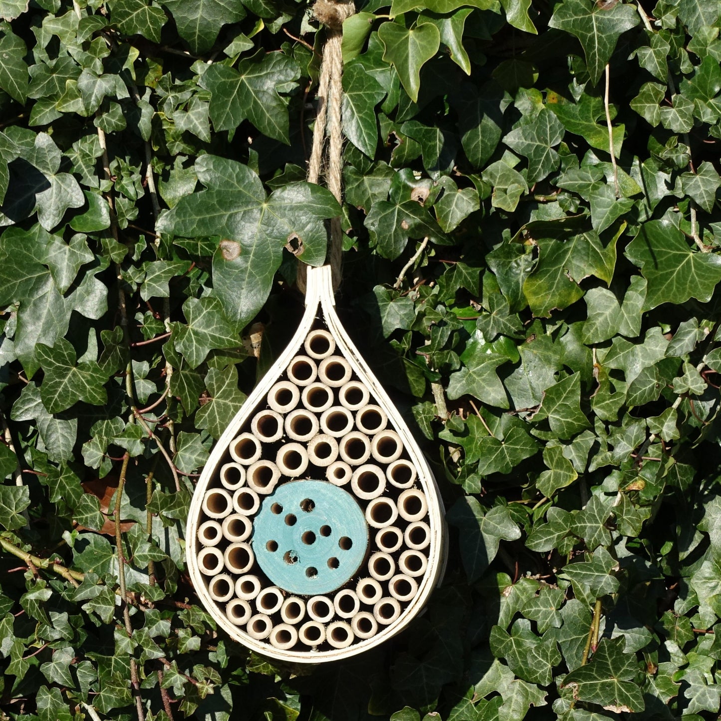 Dewdrop-shaped bee and bug hotel, made from natural wood, featuring bamboo tubes and wooden compartments, designed for solitary bees and beneficial insects, mounted on a garden wall, surrounded by greenery, eco-friendly insect habitat, rustic garden decoration