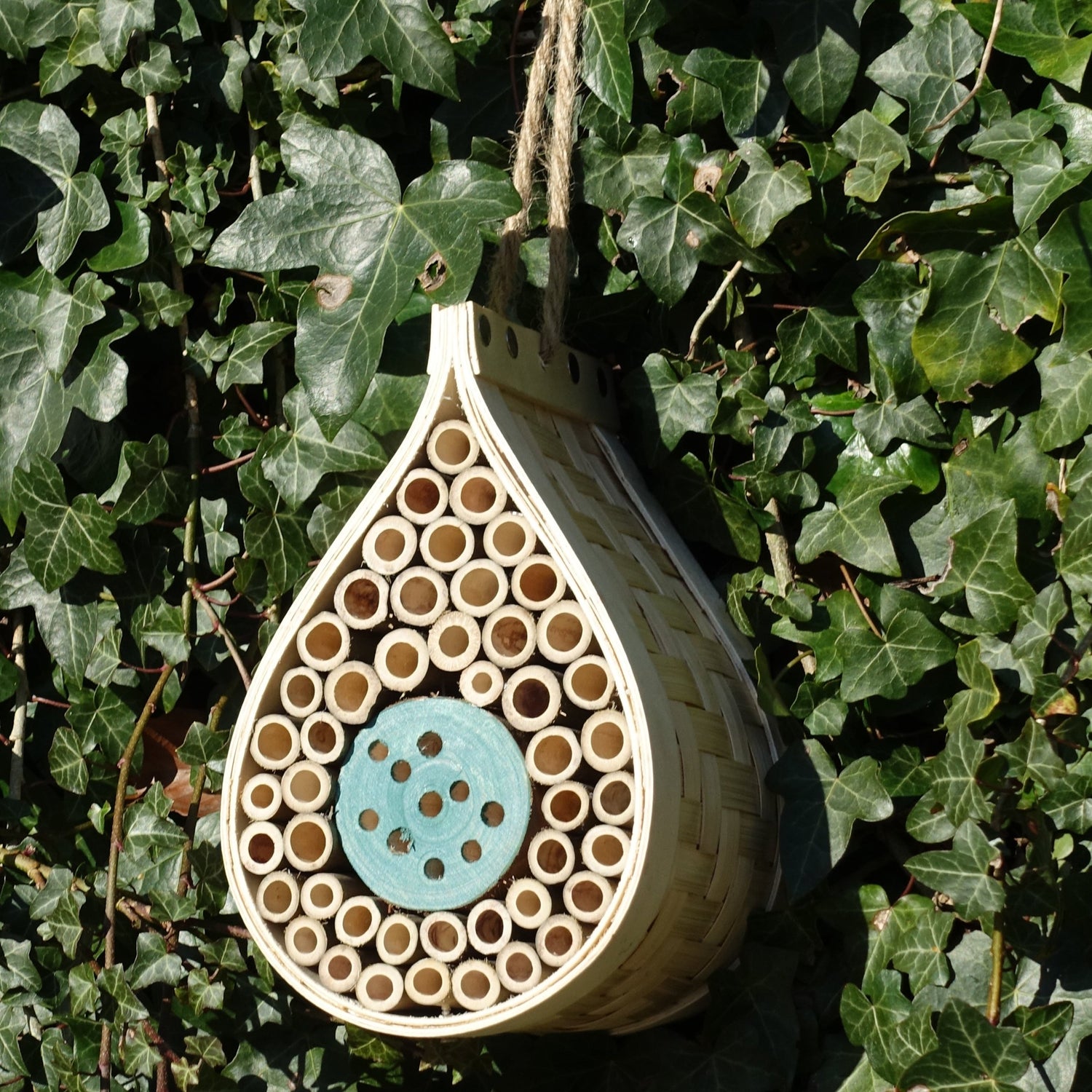 Dewdrop-shaped bee and bug hotel, made from natural wood, featuring bamboo tubes and wooden compartments, designed for solitary bees and beneficial insects, mounted on a garden wall, surrounded by greenery, eco-friendly insect habitat, rustic garden decoration