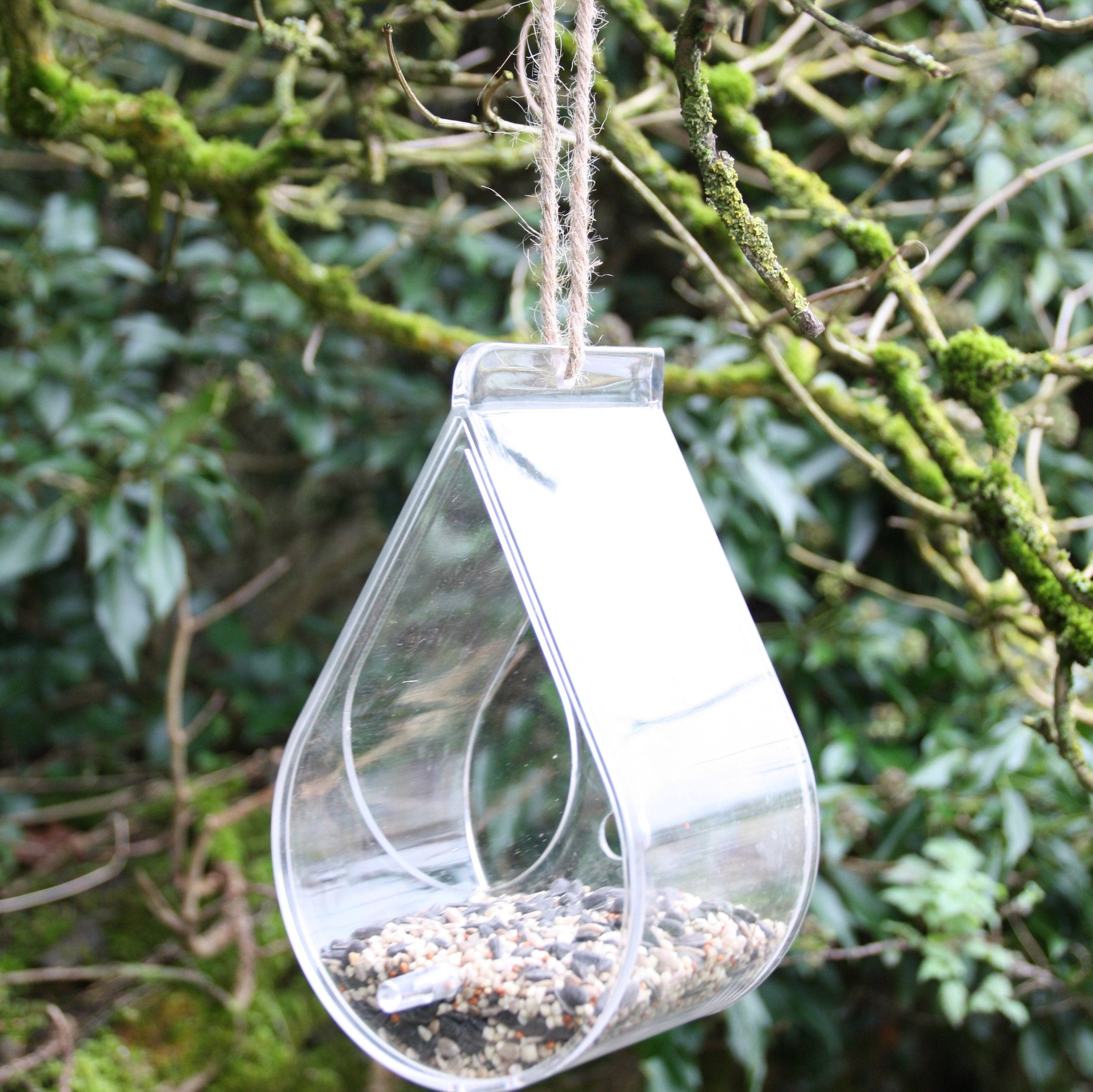 Hanging dewdrop-shaped bird feeder, made of clear acrylic, filled with birdseed, suspended from a moss-covered tree branch using a natural rope, surrounded by lush greenery and woodland environment, eco-friendly and decorative feeder design