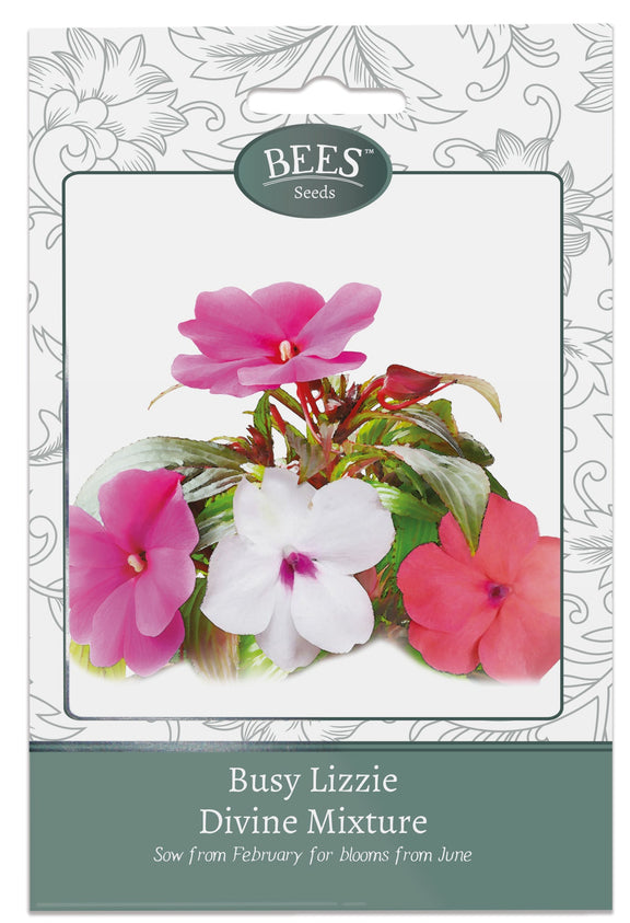 Busy Lizzie The Irish Gardener Store