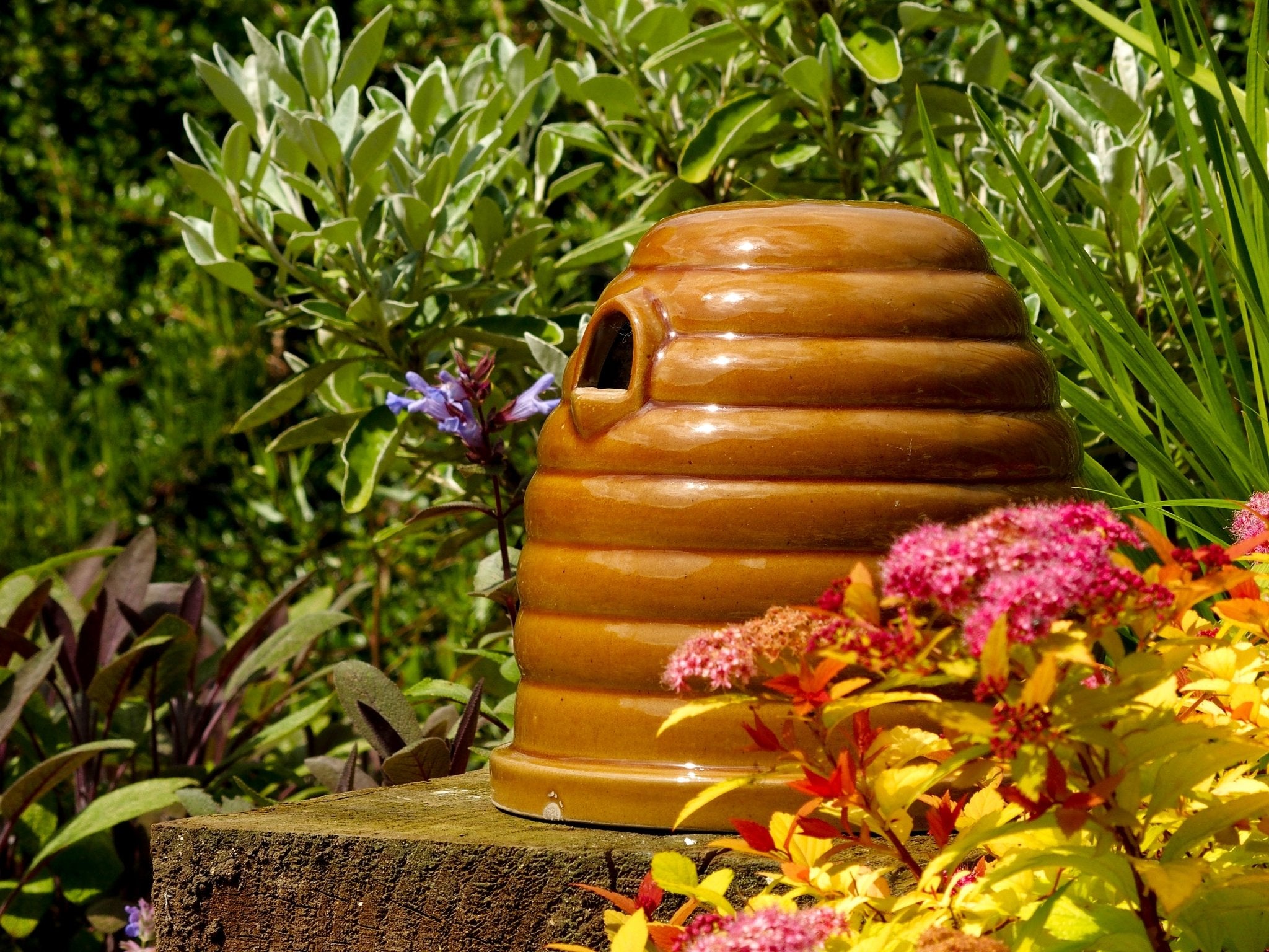Ceramic Bumblebee Nester, beehive-shaped design, glossy brown ceramic finish, small entrance hole, placed on a garden surface, surrounded by green foliage and colorful flowers, eco-friendly pollinator habitat