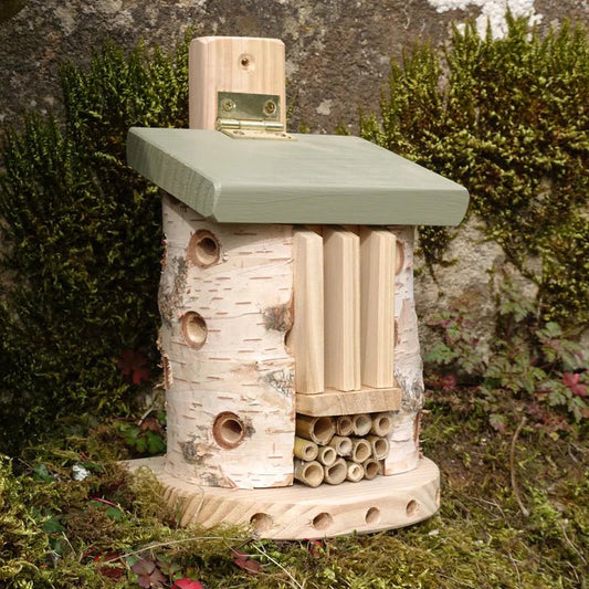 Butterflies and Moths - The Irish Gardener Store