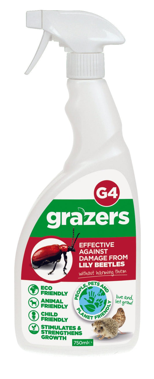 Grazers Lily Beetle Repellant Ready to Use - The Irish Gardener Store