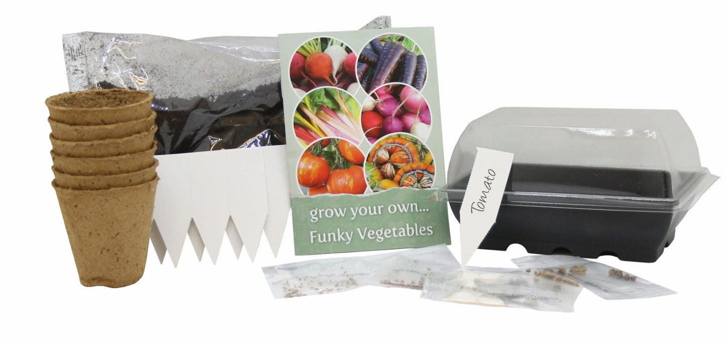 Grow Your Own Vibrant Vegetables Set - The Irish Gardener Store
