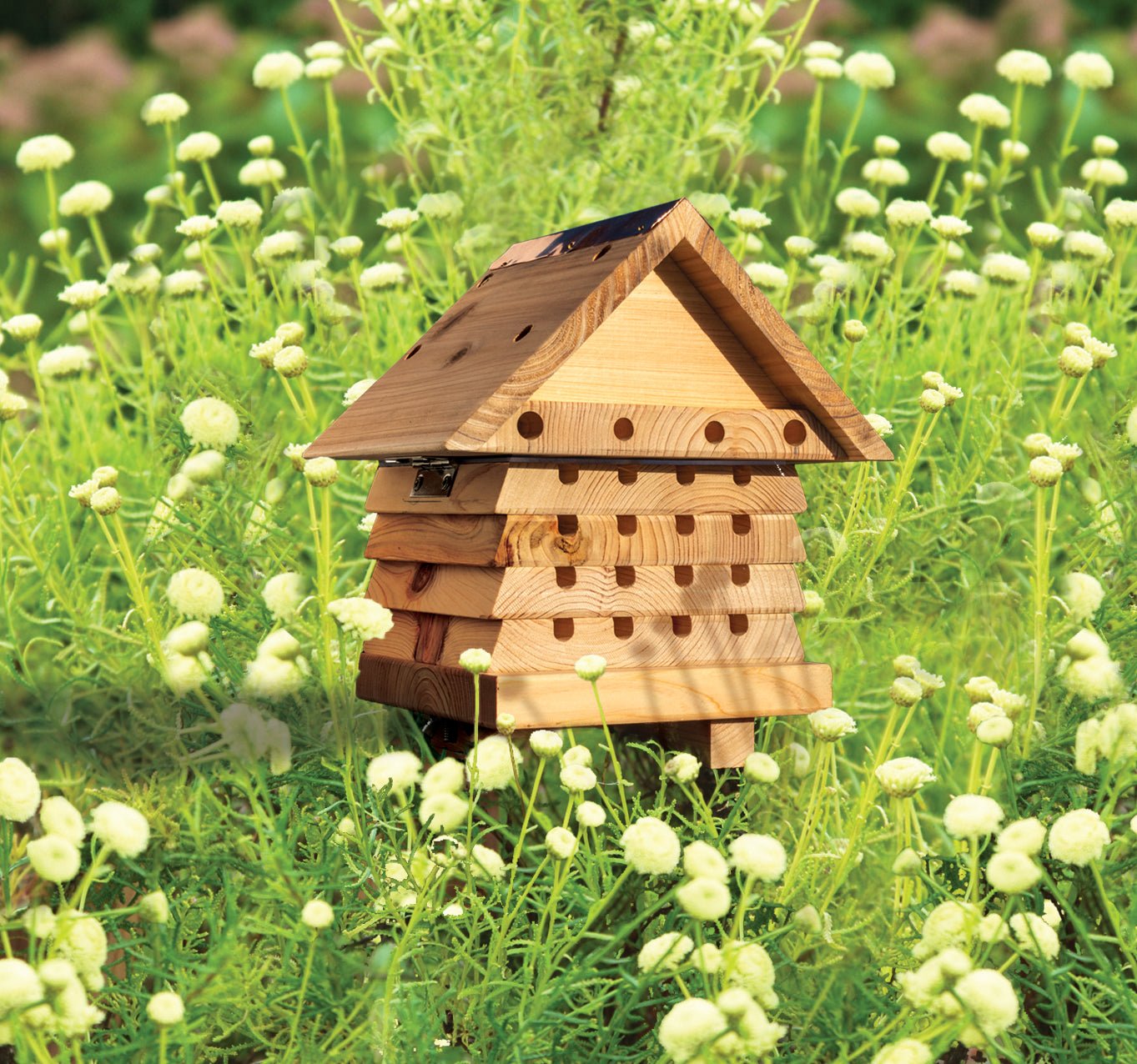 Interactive Solitary Bee Hive - The Irish Gardener Store