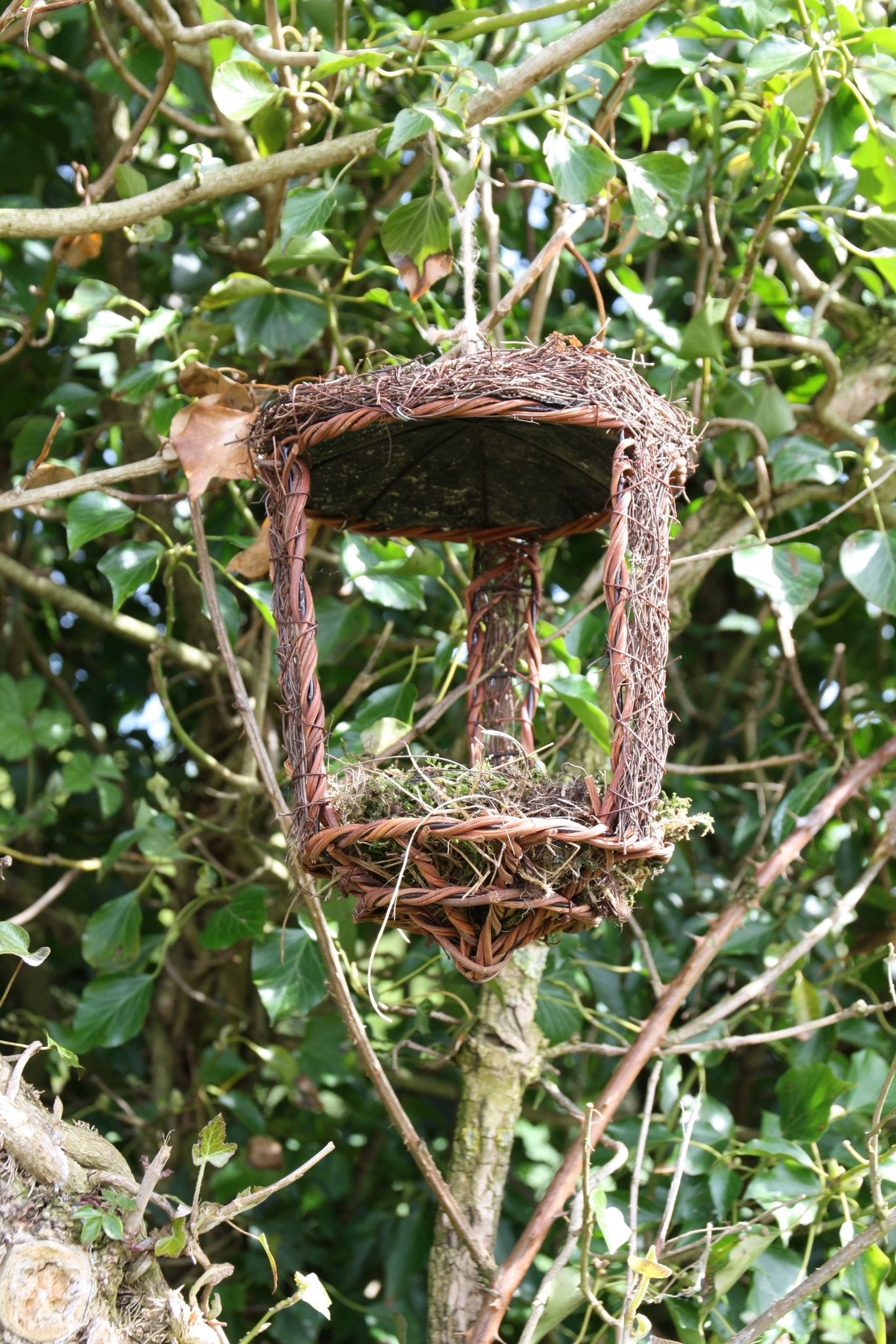 Open Nest Buddy - The Irish Gardener Store