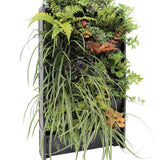 Plant Box Living Wall System - The Irish Gardener Store, PlantBox Living Wall System featuring a lush arrangement of ferns and plants, showcasing its modular and stackable design for creating vertical gardens indoors or outdoors.