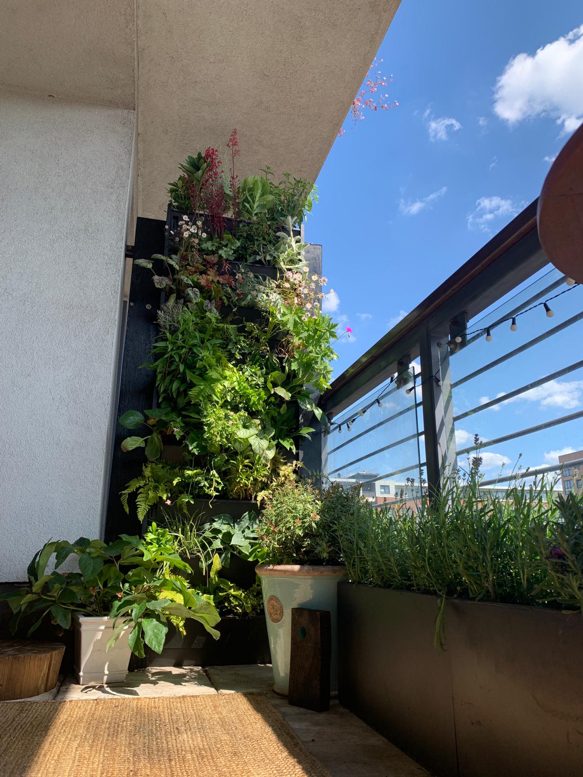 Plant Box Living Wall System - The Irish Gardener Store
