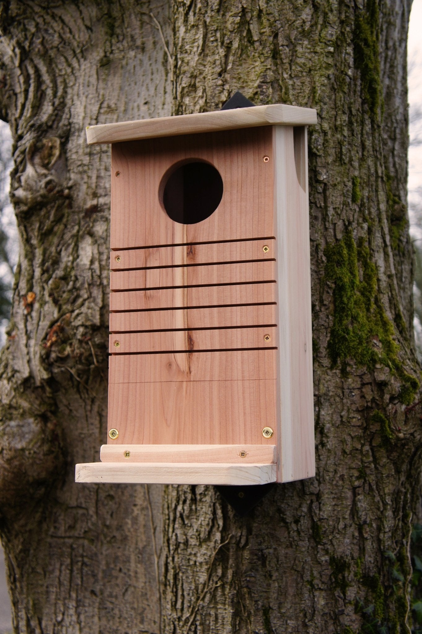 Red Squirrel Nest Box - The Irish Gardener Store