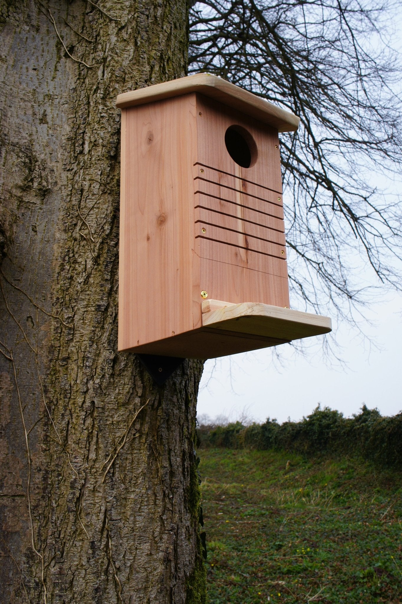 Red Squirrel Nest Box - The Irish Gardener Store