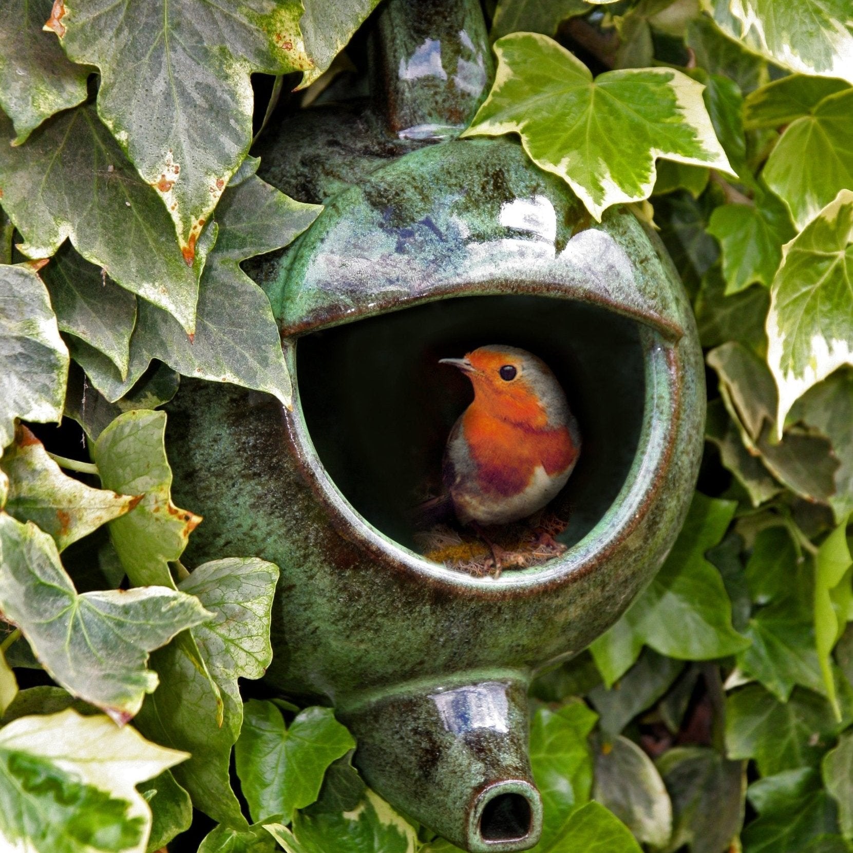 Robin Teapot Nester - The Irish Gardener Store Robin Teapot Nester, ceramic teapot-shaped birdhouse, green glaze finish, rounded design, open-top entrance, durable and weatherproof material, eco-friendly bird shelter, ideal for robins and small birds, decorative garden feature, unique wildlife habitat, standalone view