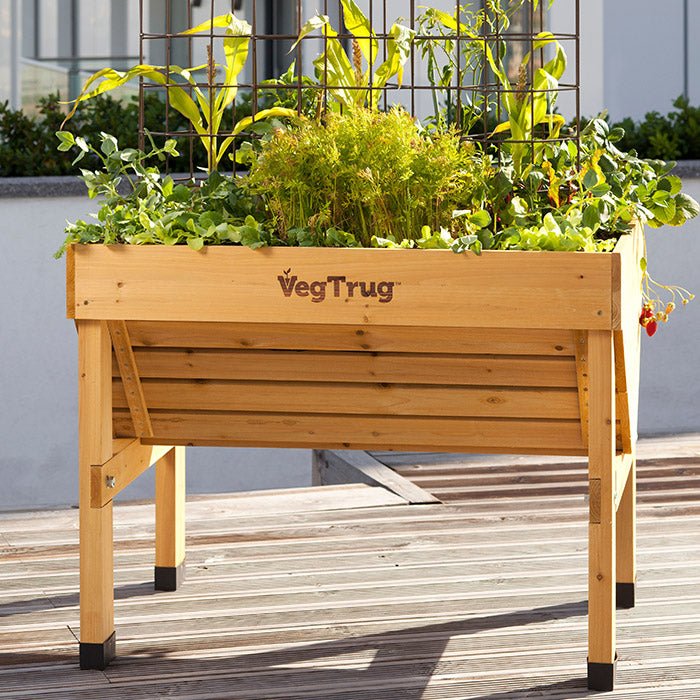 A wooden VegTrug raised garden bed filled with lush green vegetables and plants, featuring a slatted design with the VegTrug logo on the front, elevated structure for easy gardening, sturdy legs with black protective caps, placed on a wooden deck with a metal trellis in the background, ideal for small outdoor spaces like patios or balconies.