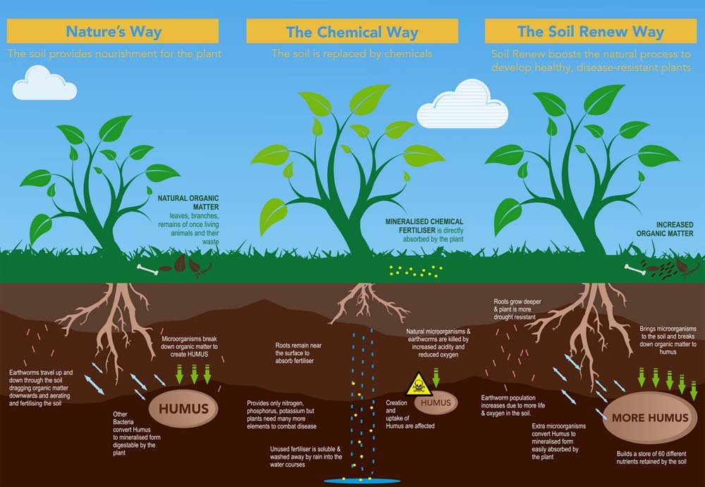 Soil Renew - The Irish Gardener Store