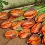 Tulip Princess Irene - The Irish Gardener Store
