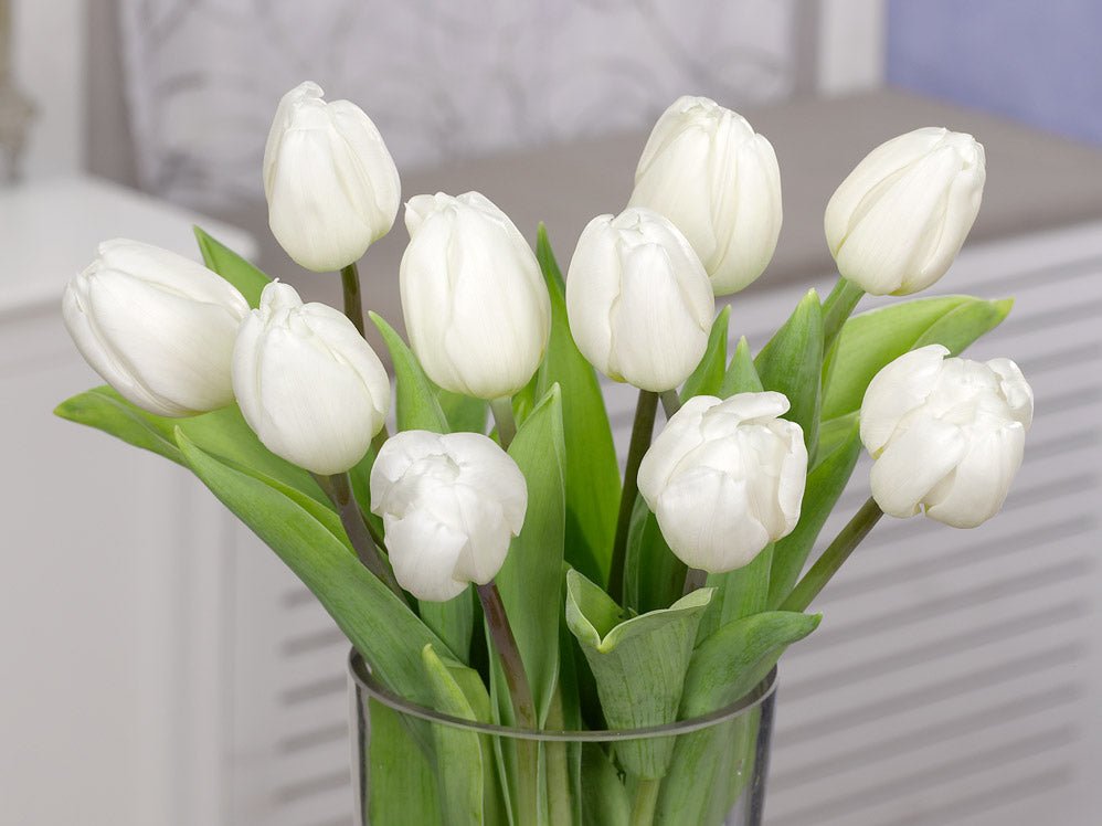 Tulip White Flag - The Irish Gardener Store