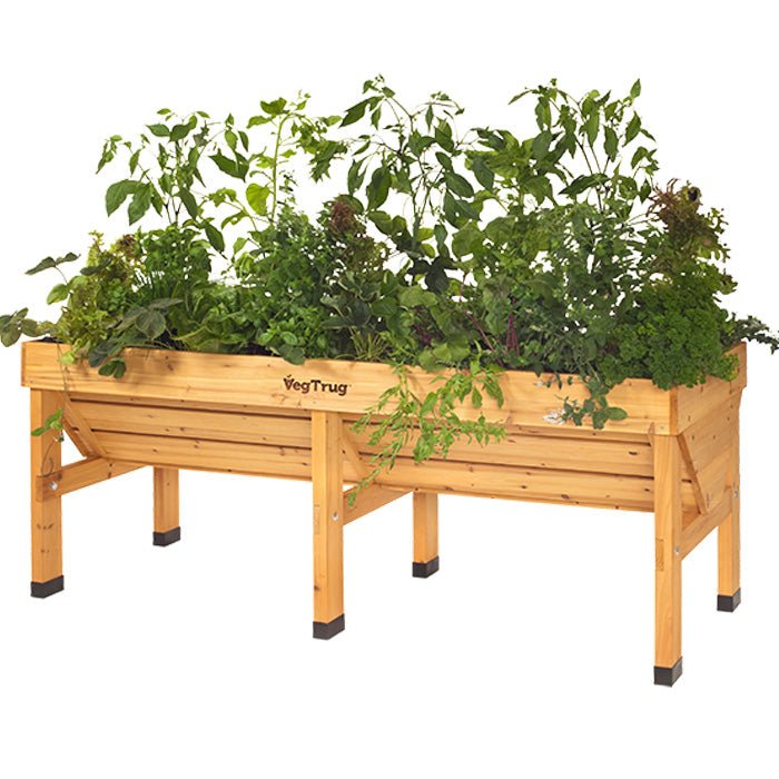 VegTrug - The Irish Gardener Store, Wooden raised garden bed filled with lush green plants and herbs,
VegTrug wooden planter box with vegetables and herbs growing,
Elevated wooden garden bed for planting herbs and vegetables,
Rectangular wooden planter on legs, designed for gardening,
Raised planter box made of natural wood, showcasing vibrant plants.