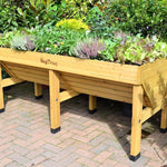 VegTrug - The Irish Gardener Store, Wooden raised garden bed filled with lush green plants and herbs,
VegTrug wooden planter box with vegetables and herbs growing,
Elevated wooden garden bed for planting herbs and vegetables,
Rectangular wooden planter on legs, designed for gardening,
Raised planter box made of natural wood, showcasing vibrant plants.