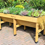 VegTrug - The Irish Gardener Store, Wooden raised garden bed filled with lush green plants and herbs,
VegTrug wooden planter box with vegetables and herbs growing,
Elevated wooden garden bed for planting herbs and vegetables,
Rectangular wooden planter on legs, designed for gardening,
Raised planter box made of natural wood, showcasing vibrant plants.
